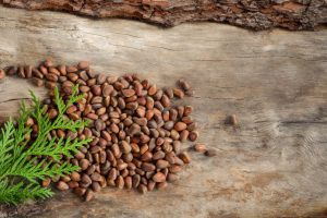 Pine-Nuts-Chilgoza-A-Nutritional-Powerhouse-from-the-Himalayas